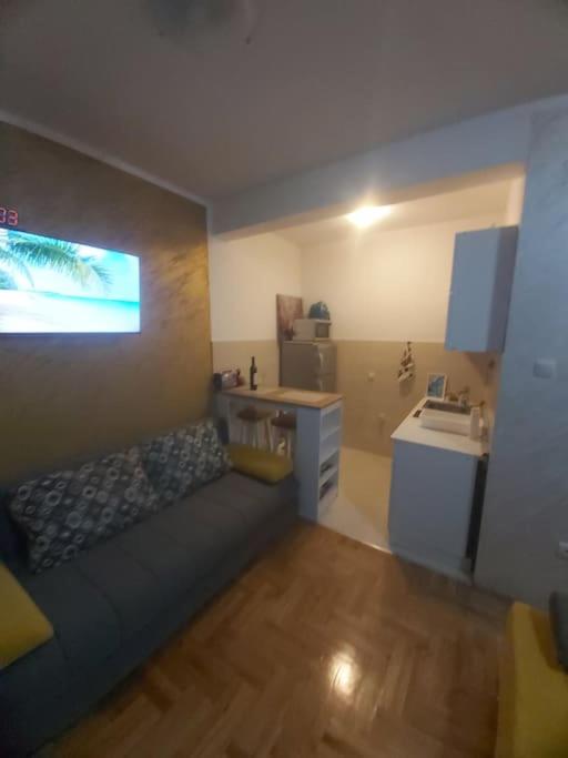 Apartman Manja Petrovac - One-Bedroom Apartment - 12