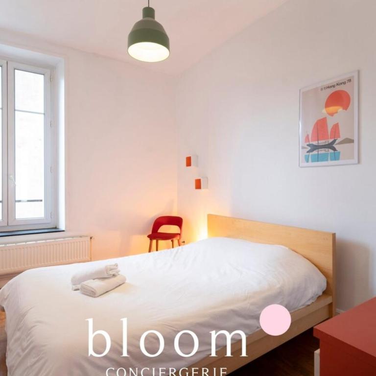 Nancy Thermal ARTEM F2 chaleureux - Appartement 1 Chambre - 8