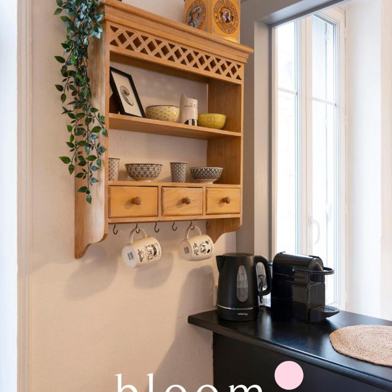 Nancy Thermal ARTEM F2 chaleureux - Appartement 1 Chambre - 11