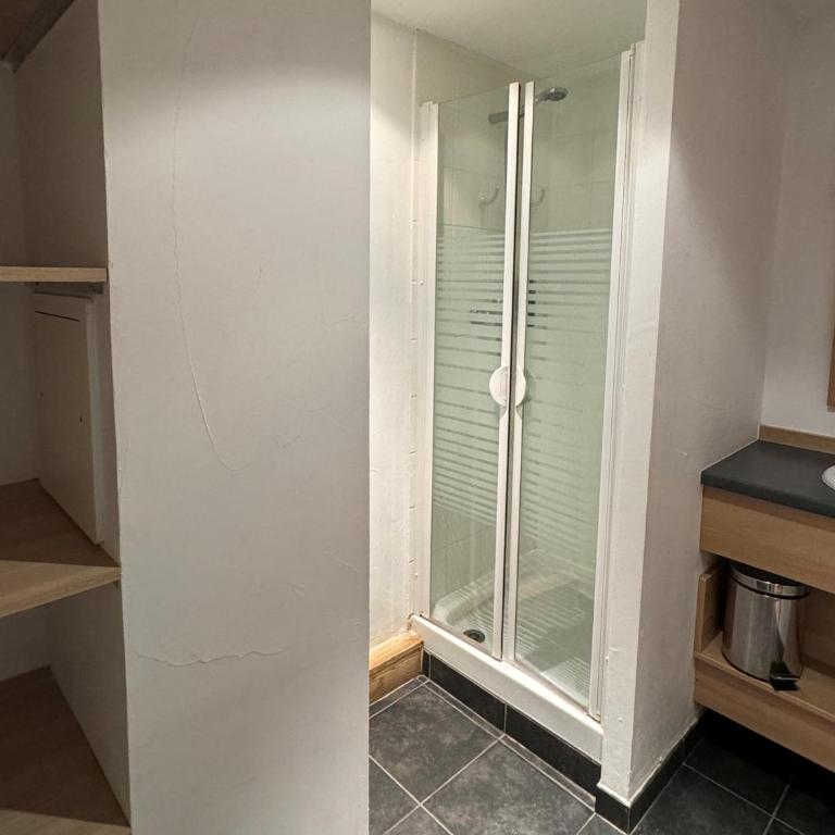 Grand appartement ski aux pieds, orientation sud avec piscine, wifi et animaux admis - Two-Bedroom Apartment - 10