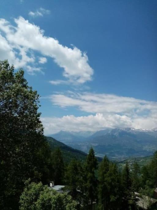 Studio-4 Personnes Les Orres 1650-Hautes alpes - Appartement 1 Chambre - 15