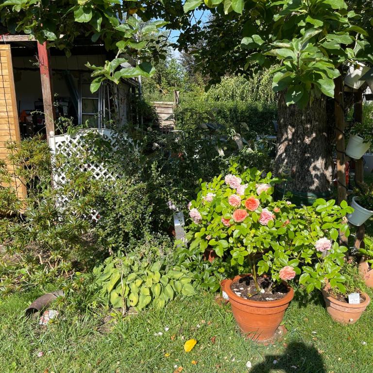 Claudias Apartment - 20 Minuten bis Messe Nürnberg - Apartment mit 1 Schlafzimmer und Gartenblick - 14