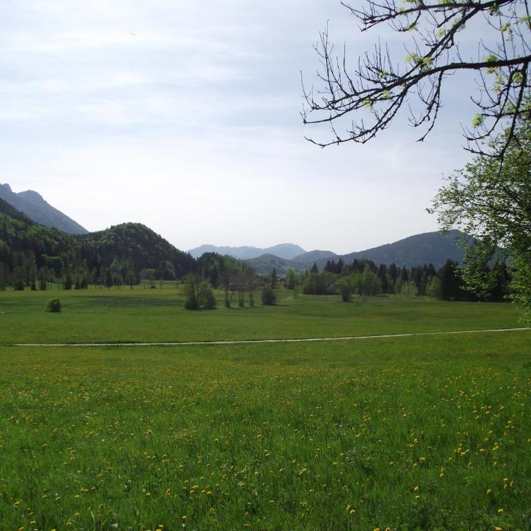 Ferienwohnung am Römerweg Wald - Apartment mit 2 Schlafzimmern - 35