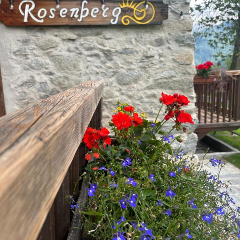 Rosenberg Suite località la Palu - Appartamento con 1 Camera da Letto - 5