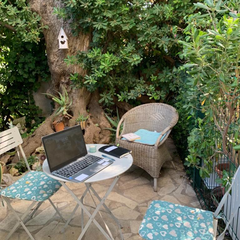 "L'olivadou" ST JEAN CAP FERRAT - Appartement - 10