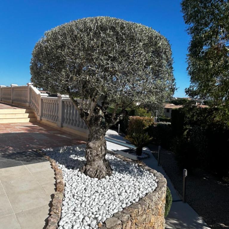 Villa Riposa - Villa - 26
