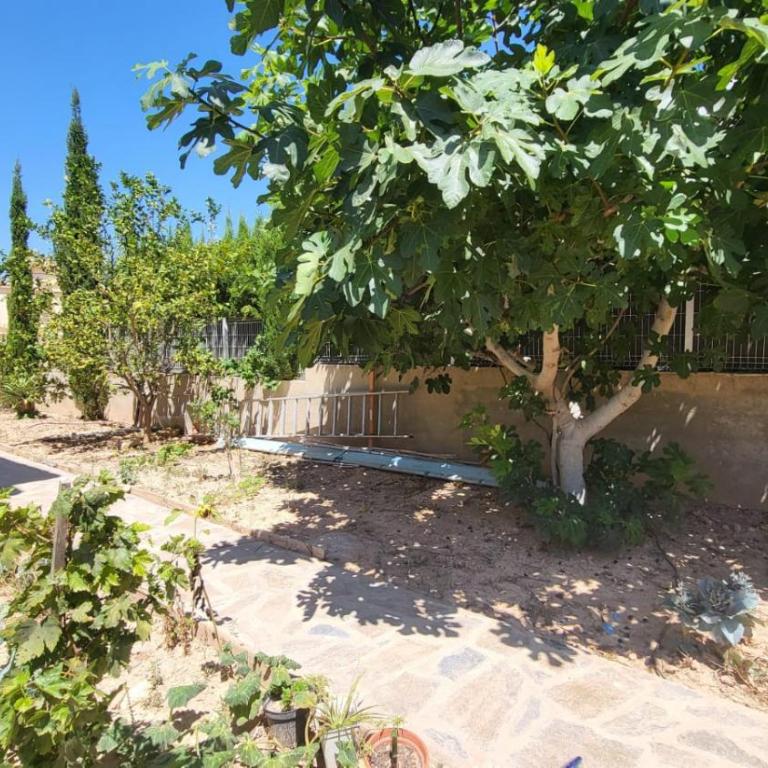 Villa en Pla Roig - Casa de 5 dormitorios - 12