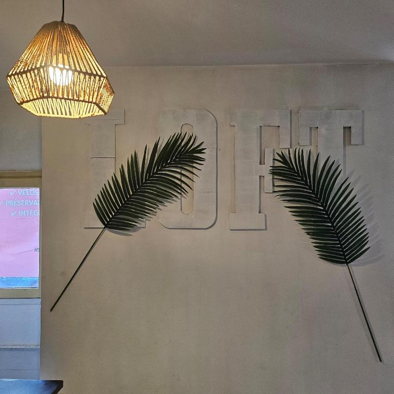 49 studio centre-ville BOX A BAGAGES GRATUITS - Appartement 1 Chambre - 31