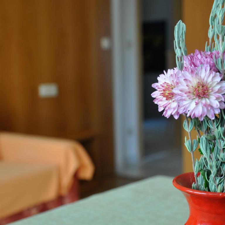 Residence Sonnenburger - Biobauernhof - Azienda agricola biologica - One-Bedroom Apartment with Balcony and Mountain View - 10