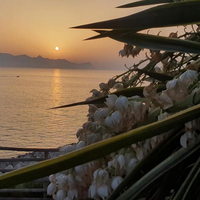 Loft in Balestrate vicino al Mare - Rental BeB - Casa Vacanze - 16