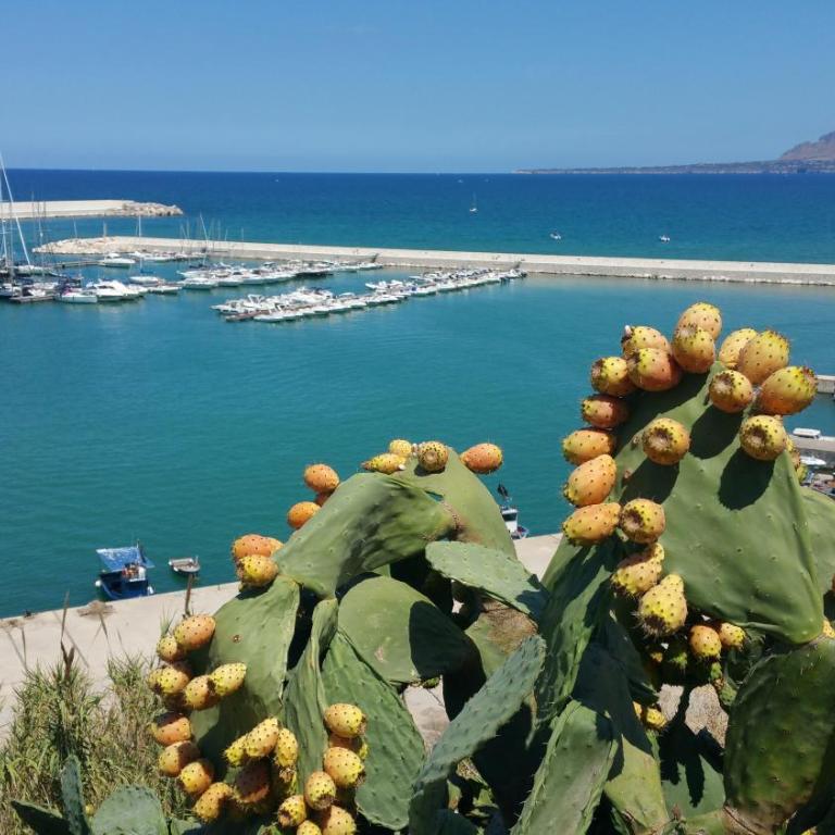 Loft in Balestrate vicino al Mare - Rental BeB - Casa Vacanze - 1