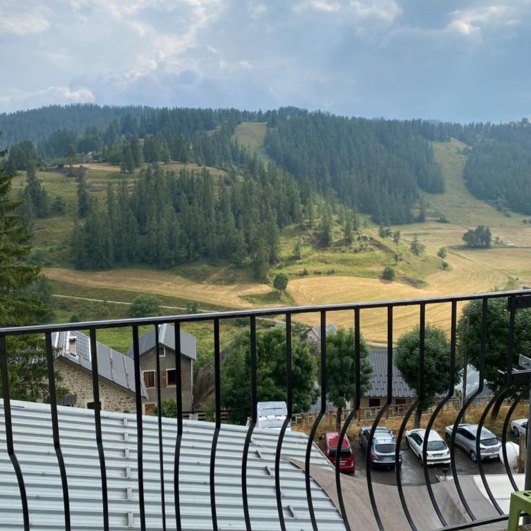 Hôtel Génépi - Chambre Double ou Lits Jumeaux Standard avec Balcon - 9