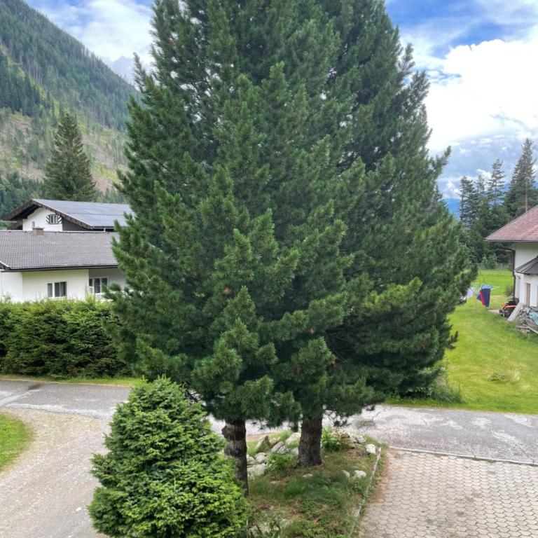 Haus Karin Mallnitz - Apartment mit 1 Schlafzimmer, Balkon und Bergblick - 5