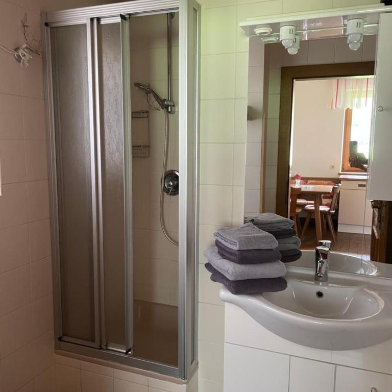 Haus Karin Mallnitz - Apartment mit 1 Schlafzimmer, Balkon und Bergblick - 10