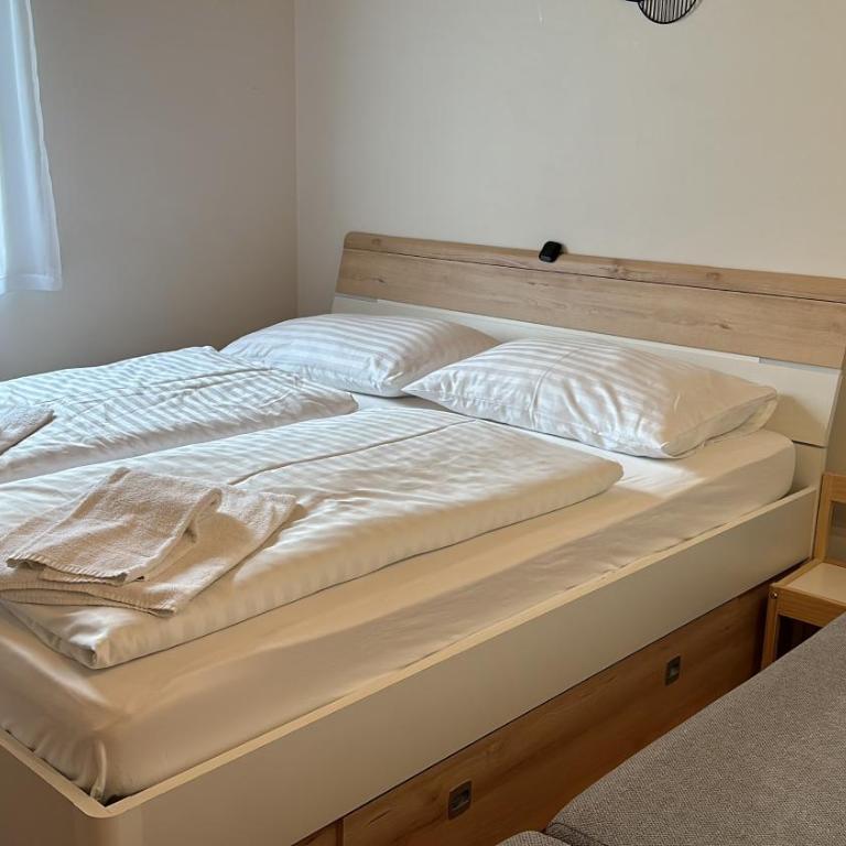 GRIASS EICH Ski-to-door Apartment - Apartment mit 2 Schlafzimmern - 7