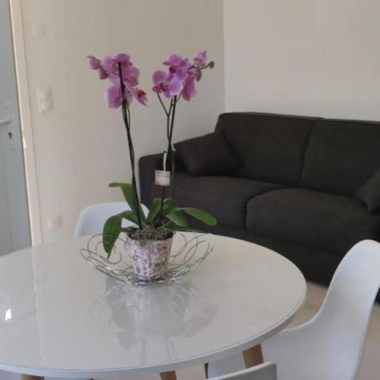 2p bas de Villa avec Jacuzzi privatif proche de Nice - Appartement 1 Chambre - 25