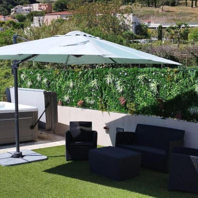 2p bas de Villa avec Jacuzzi privatif proche de Nice - Appartement 1 Chambre - 11