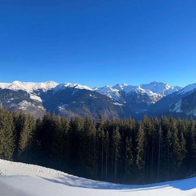 T2 à Courchevel 2* accès pistes, parking, vue vallée, 4 pers. - FR-1-514-22 - Apartment (4 Erwachsene) - 12