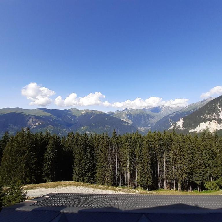T2 à Courchevel 2* accès pistes, parking, vue vallée, 4 pers. - FR-1-514-22 - Apartment (4 Erwachsene) - 20