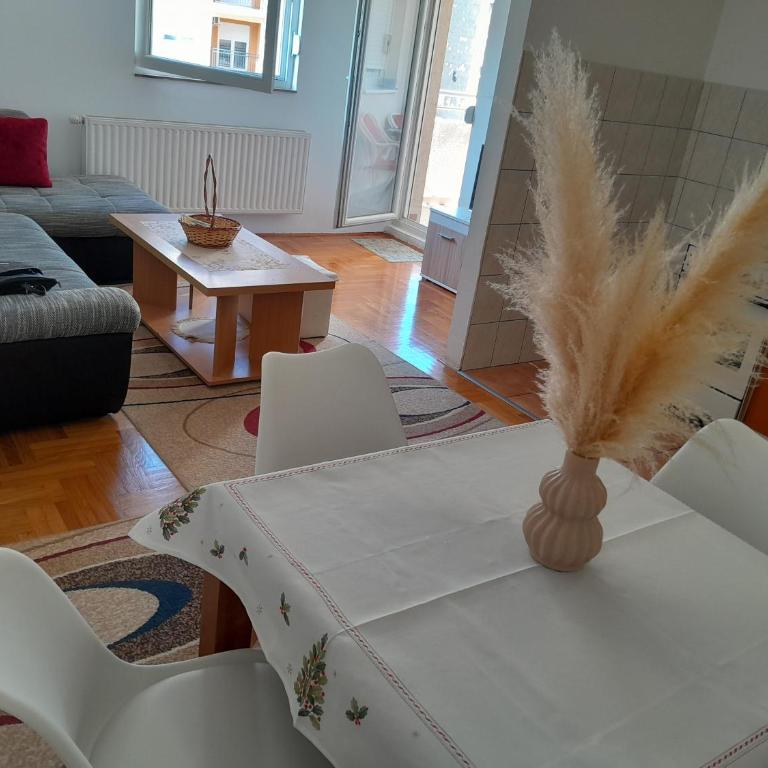 Apartman CENTAR - Apartman sa 1 Spavaćom Sobom - 2