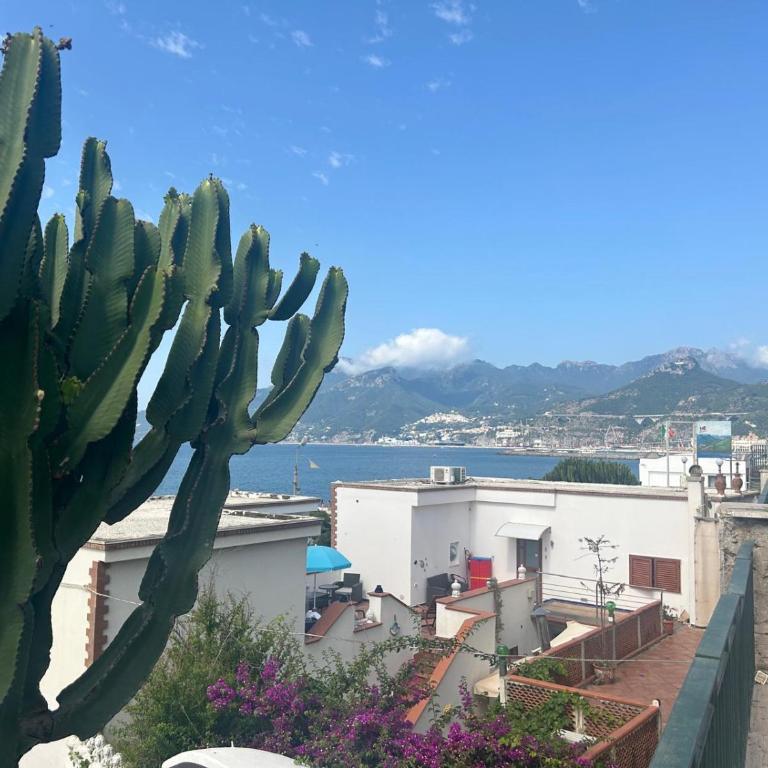 La Dolce Vita Apartments Positano - Appartamento con 1 Camera da Letto - 12