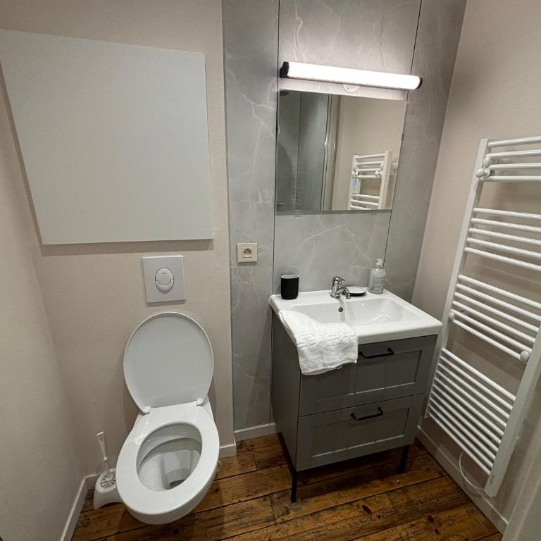 Louis Premier et Second Metz Centre Un Séjour à Part - Appartement 1 Chambre - 3
