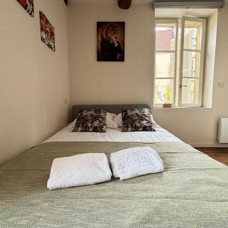 Louis Premier et Second Metz Centre Un Séjour à Part - Appartement 1 Chambre - 26