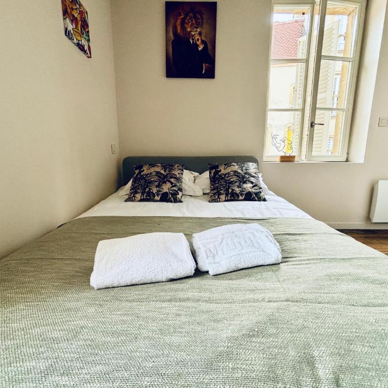 Louis Premier et Second Metz Centre Un Séjour à Part - Appartement 1 Chambre - 29