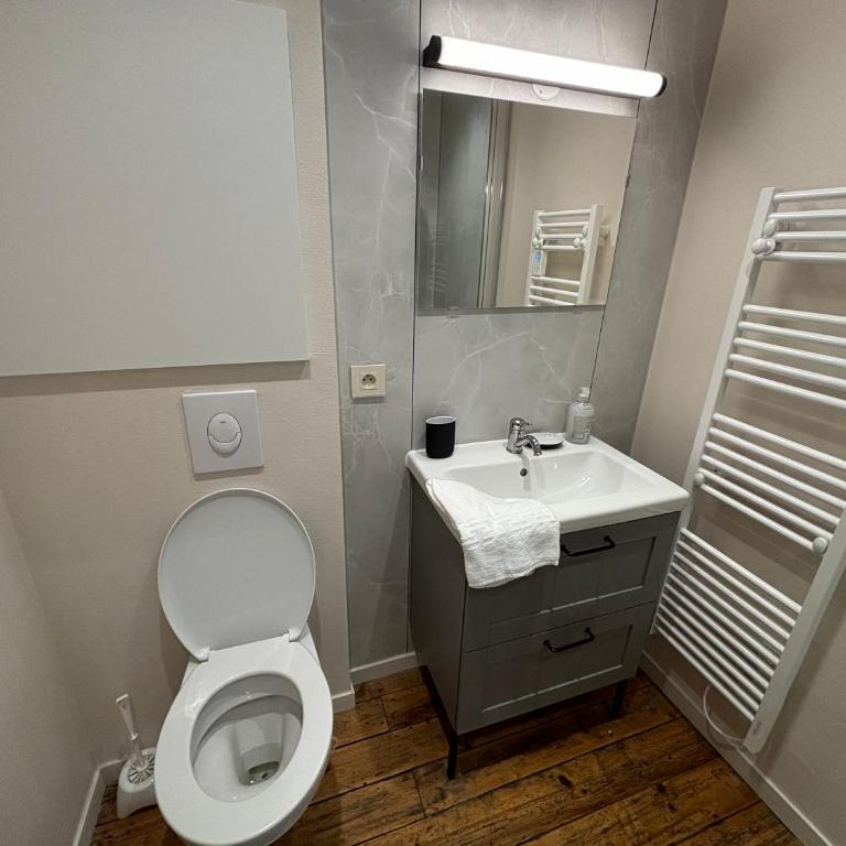 Louis Premier et Second Metz Centre Un Séjour à Part - Appartement 1 Chambre - 32