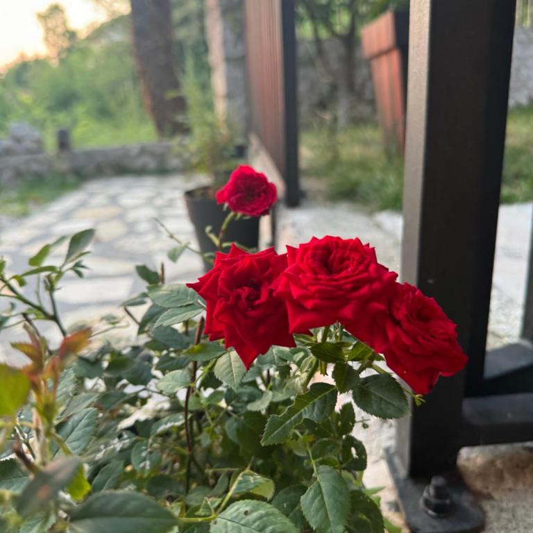Oasis of peace - Apartman - 21