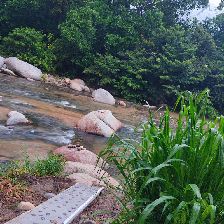 Casa Terraza - Two-Bedroom House - 21