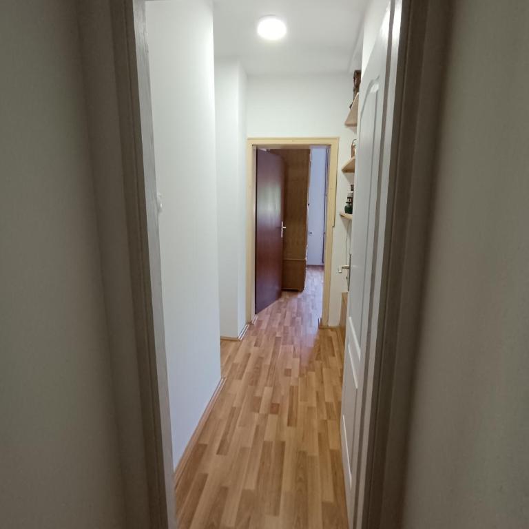 Apartmani Trifunović 2 - Apartman sa 1 Spavaćom Sobom - 10