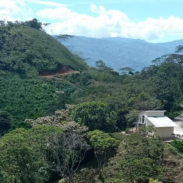 Finca La Palma - Family Room with Mountain View - 8