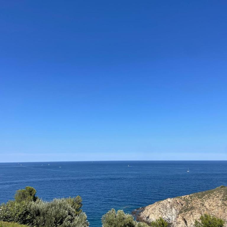 Studio cabine à Banyuls-sur-Mer avec terrasse - FR-1-309-210 - Studio - 2