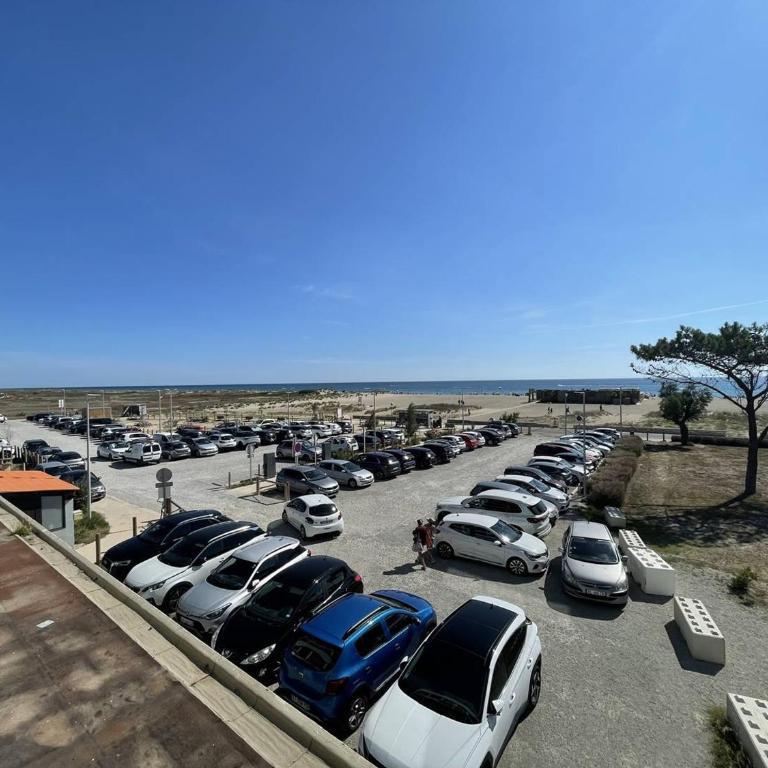 Saint-Cyprien : T2 confortable en bord de mer avec parking et animaux admis - FR-1-106-106 - Apartment - 18