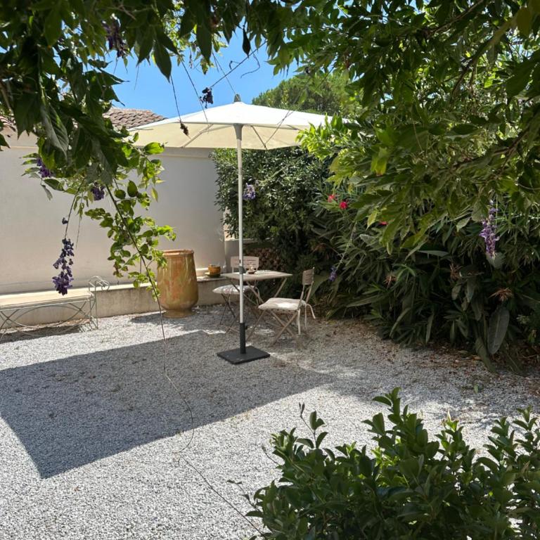 La Glycine Tropézienne - Apartment mit 1 Schlafzimmer - 1