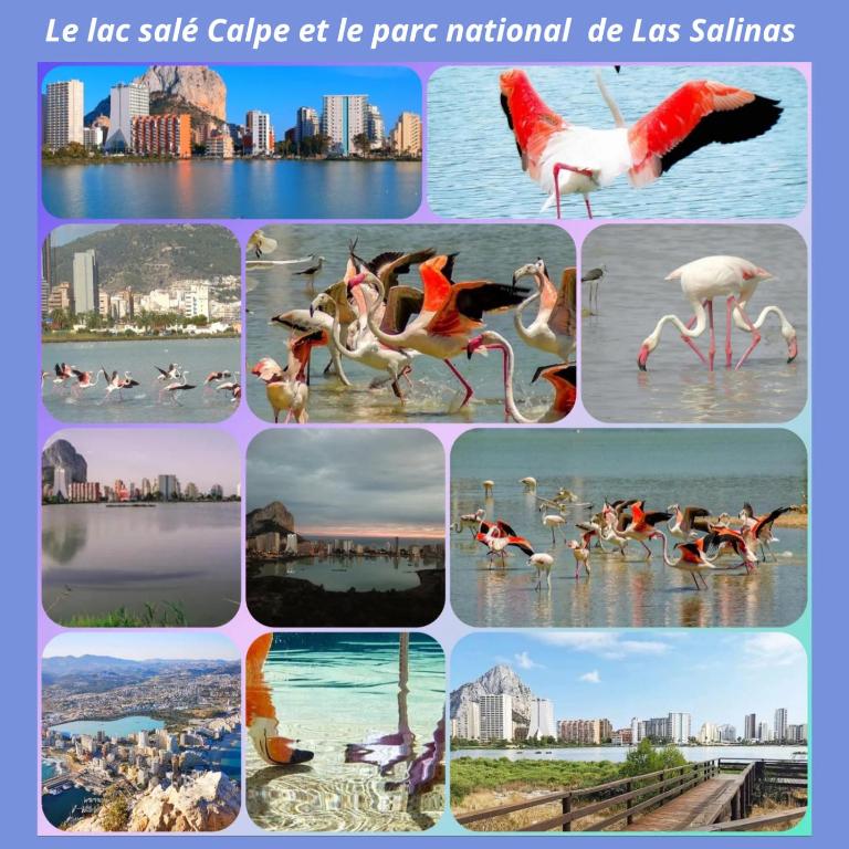 Calpe 100 m de playa - Apartamento de 2 dormitorios - 54