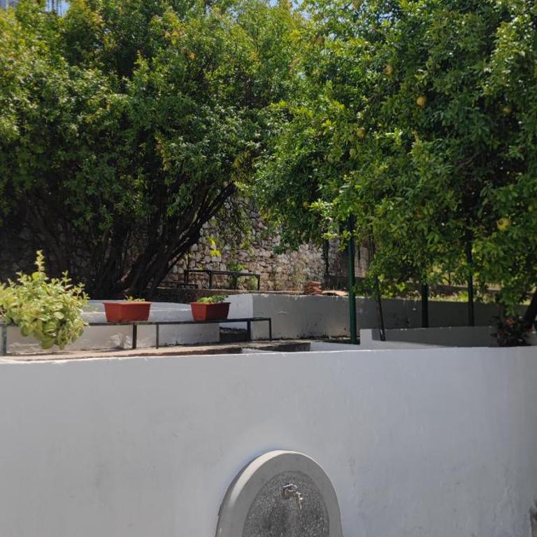 El Higo Apartments - Studio with Garden View - 8