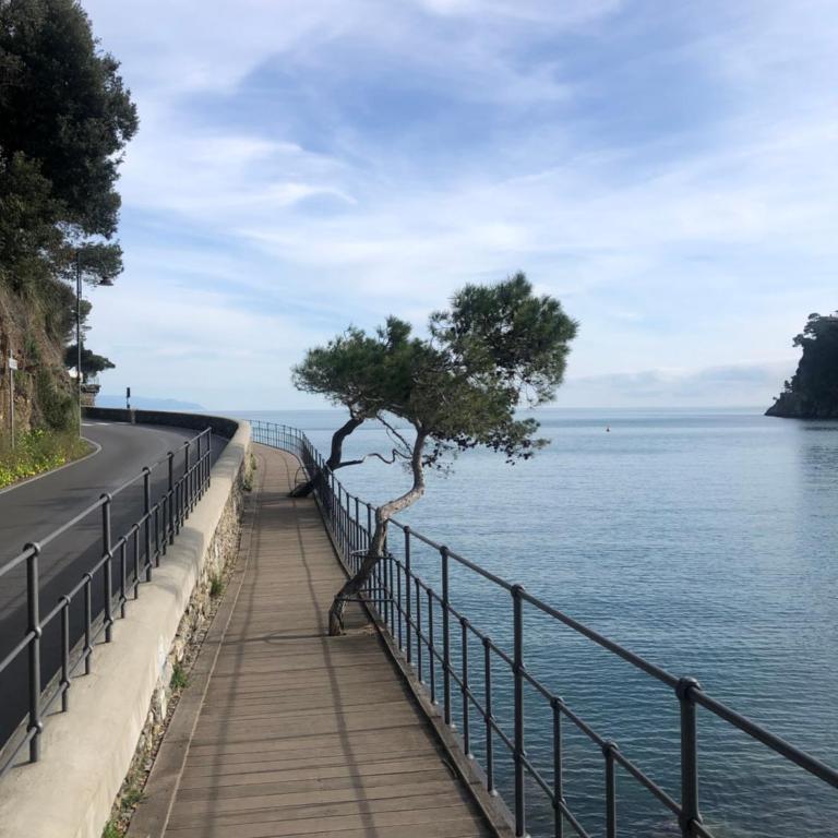 Appartamento in Rapallo - Appartamento con 1 Camera da Letto - 26