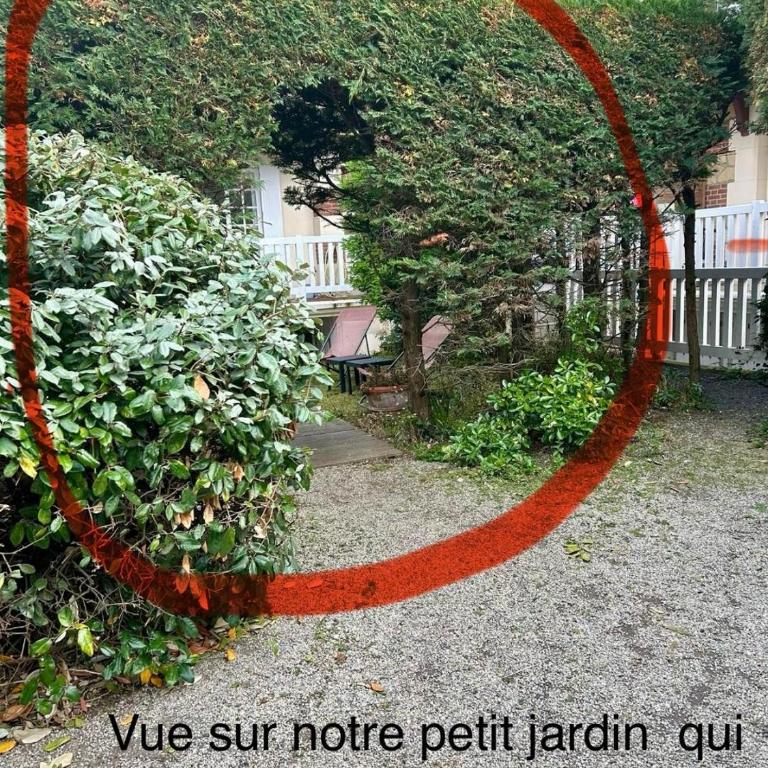 Petit Souplex dans l'hypercentre de Cabourg 80 m de la mer à pied - Two-Bedroom Apartment - 15