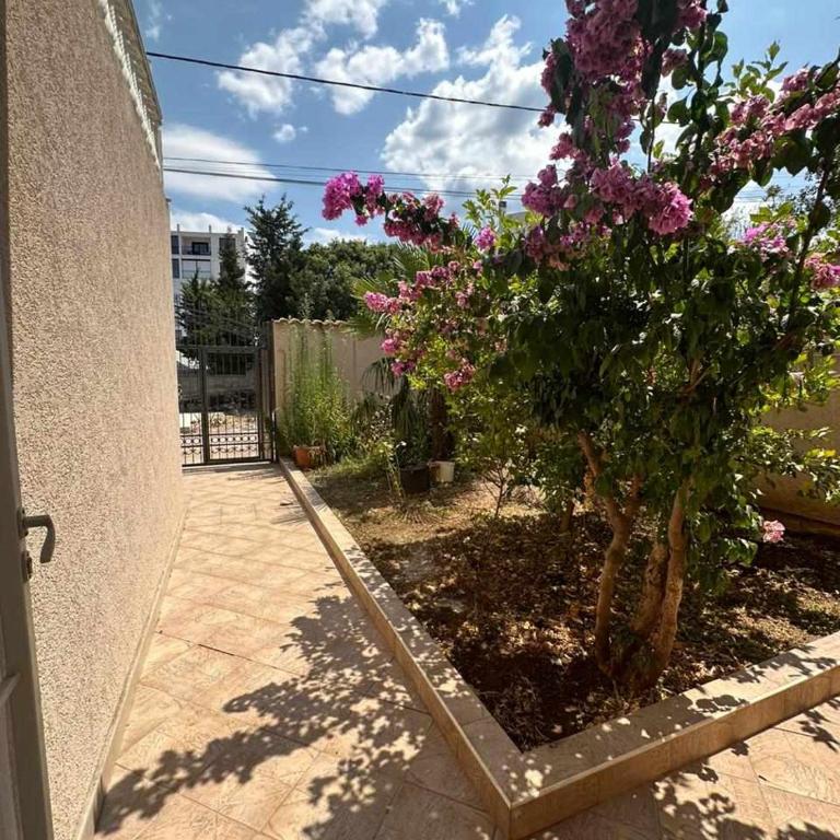 Villa Noble - Villa with Sea View - 16