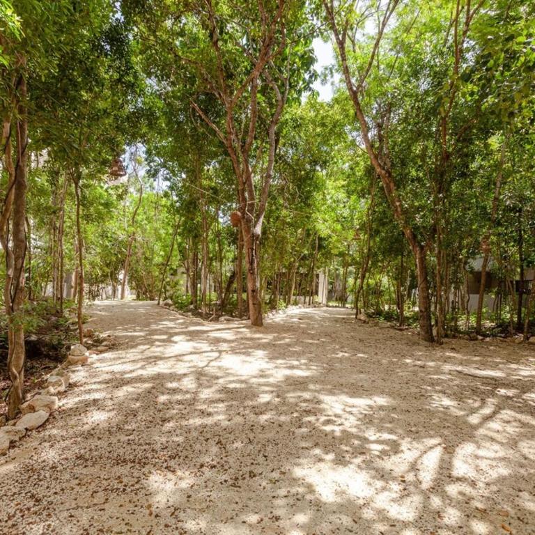 Casa LaMar 10 min Beach WIFI 300 MB2Gyms6Pools - Three-Bedroom Apartment - 48