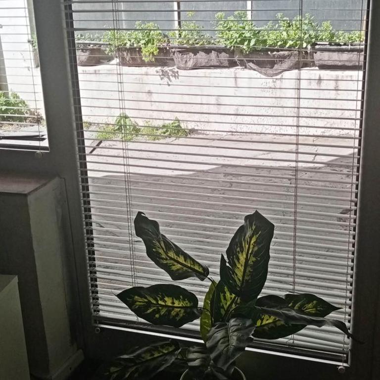 Cradle of Love - Apartman sa 1 Spavaćom Sobom - 35