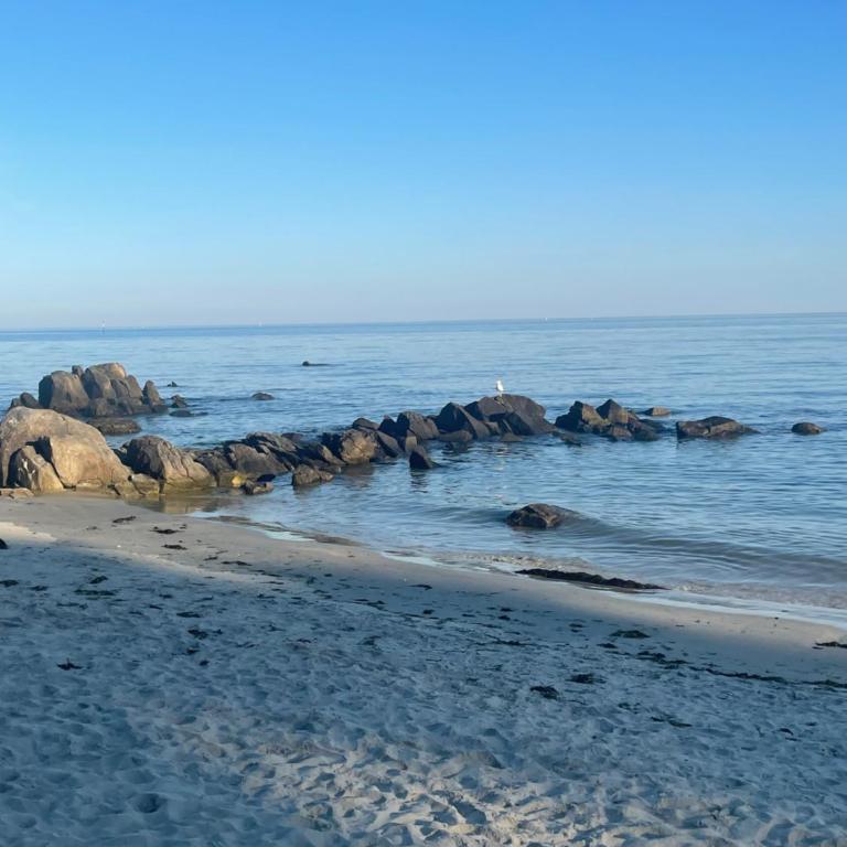 Appartement rez de jardin - Two-Bedroom Apartment - Oceanfront - 11