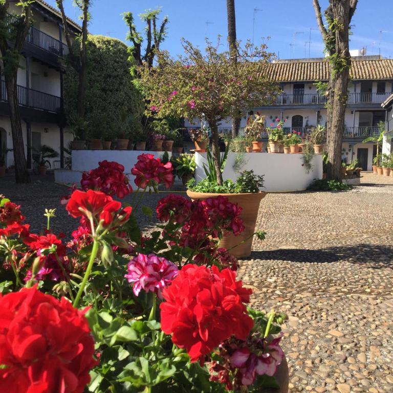 Andalusian Courtyard - Apartamento con vistas al jardín - 49