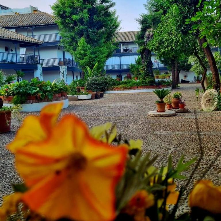 Andalusian Courtyard - Apartamento con vistas al jardín - 52