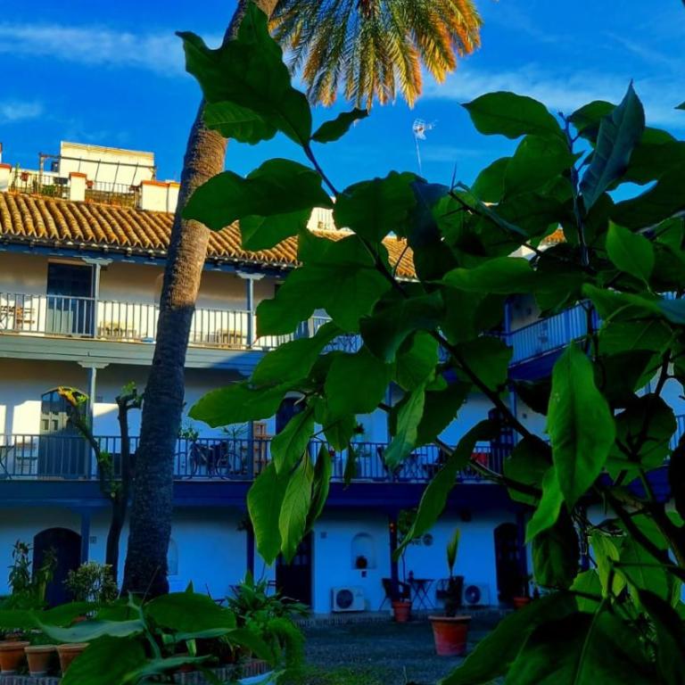 Andalusian Courtyard - Apartamento con vistas al jardín - 3