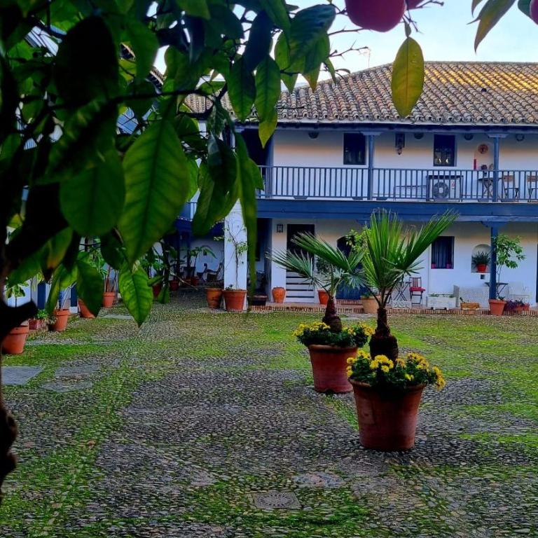 Andalusian Courtyard - Apartamento con vistas al jardín - 54