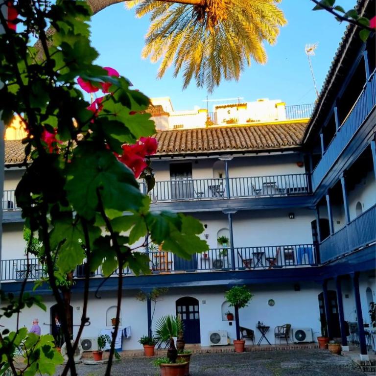 Andalusian Courtyard - Apartamento con vistas al jardín - 56