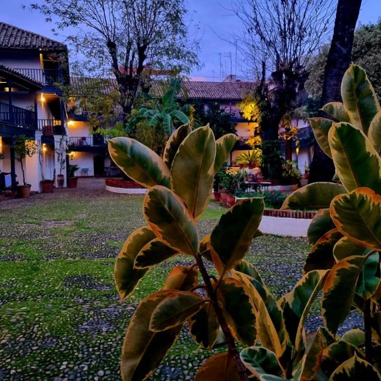 Andalusian Courtyard - Apartamento con vistas al jardín - 59